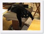 IMG_0603 * 3264 x 2448 * (3.49MB)