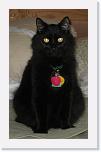 IMG_0646 * 1428 x 2339 * (283KB)