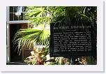 IMG_0447 * 2775 x 1798 * (912KB)