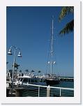 IMG_0450 * 2448 x 3264 * (710KB)