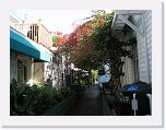 IMG_0608 * 3264 x 2448 * (3.44MB)