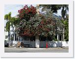 IMG_0641 * 3264 x 2448 * (5.13MB)